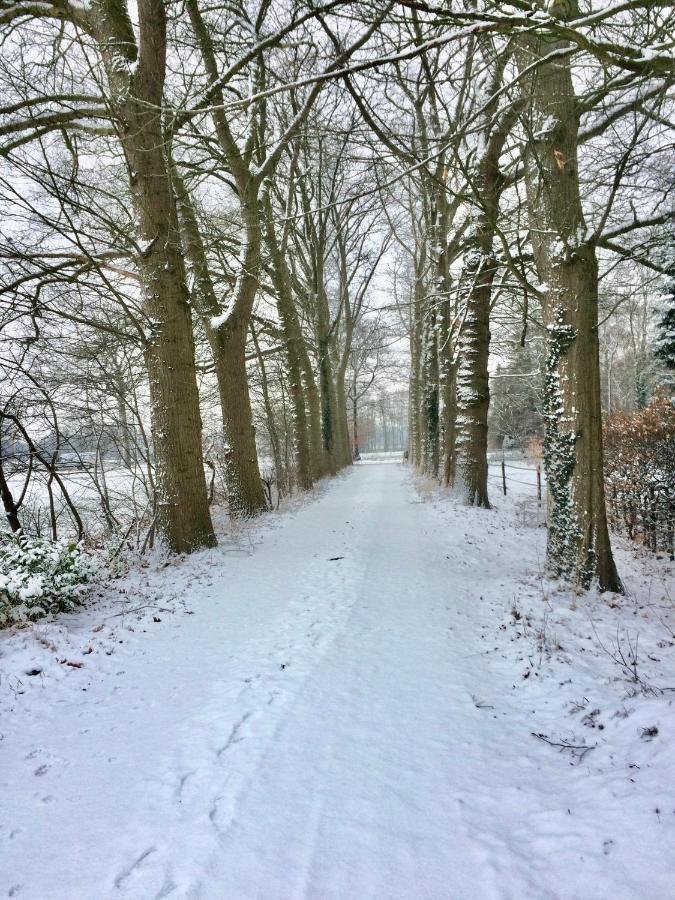 Landgoed Hoeve Honeswei Winterswijk Exteriör bild
